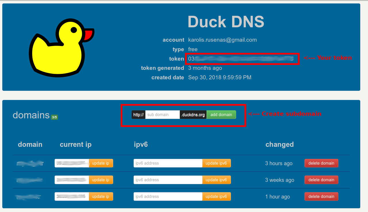 DuckDNS configuration DuckDNS configuration